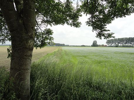Bestand:A 102, 101 en 100 x.jpg