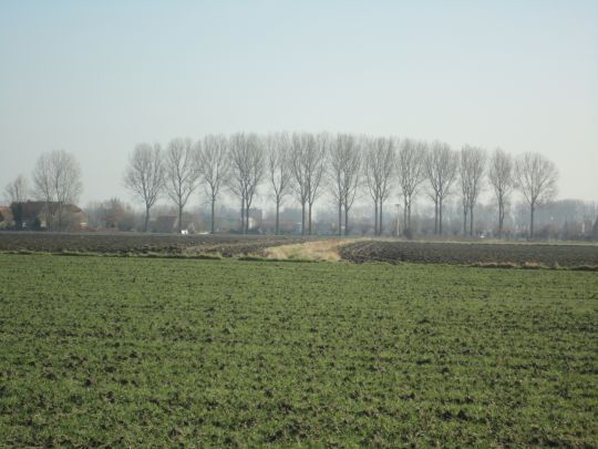 Geplaneerde Oostdijk zuidwaarts s.jpg