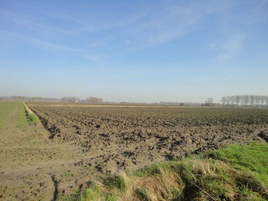 Geplaneerde Oostdijk b s.jpg