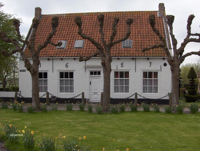 Bestand:WitteLeeuw.jpg
