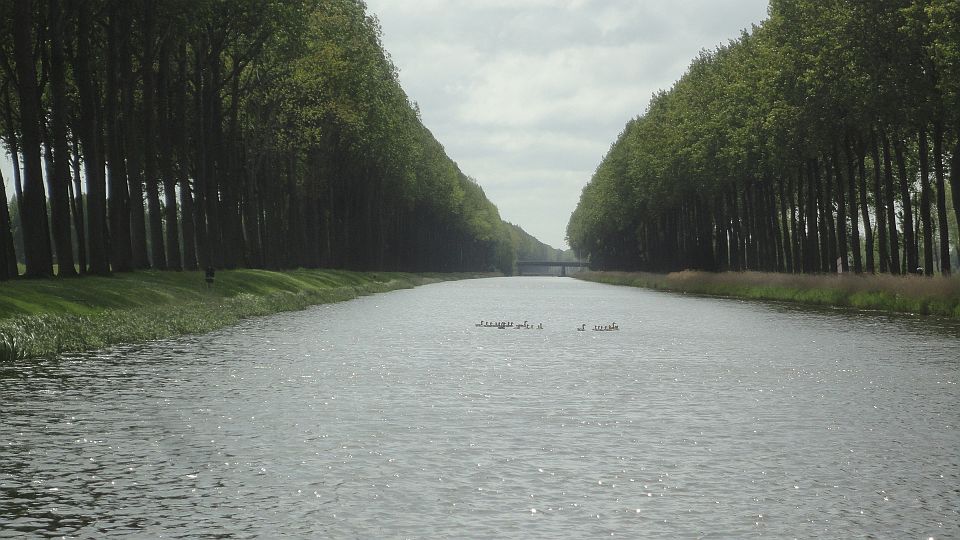 Damse Vaart.jpg