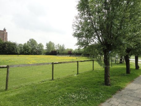 Bestand:A 12 rechterhelft s.jpg