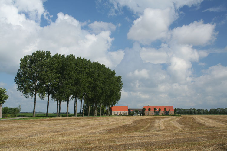 Bestand:JonkvrouwGeilstraat3.jpg