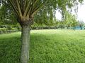 Miniatuurafbeelding voor de versie van 24 jun 2012 13:35