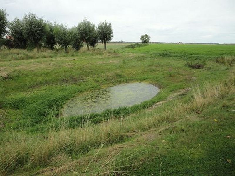 Bestand:Vergelieput b.JPG